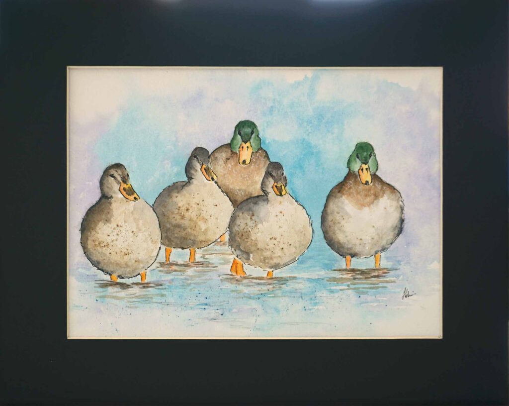 watercolour of five ducks